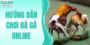 hướng dẫn chơi đá gà online